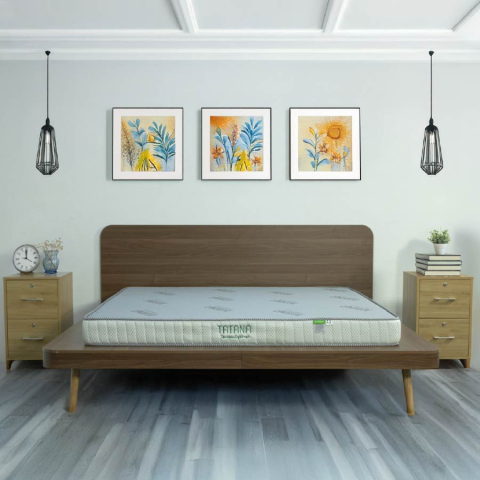 Nệm Ép Dẻo TATANA