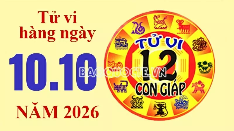 Tử vi hôm nay, xem tử vi 12 con giáp hôm nay ngày 10/10/2026: Tử vi hôm nay, xem tử vi 12 con giáp hôm nay ngày 10/10/2026: