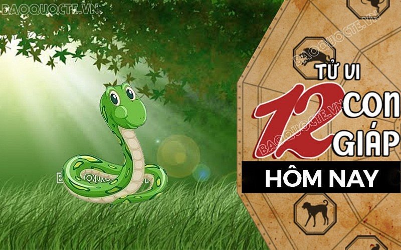 Tử vi hôm nay, xem tử vi 12 con giáp hôm nay ngày 23/8/2026: Tuổi Tỵ tài vận ổn định
