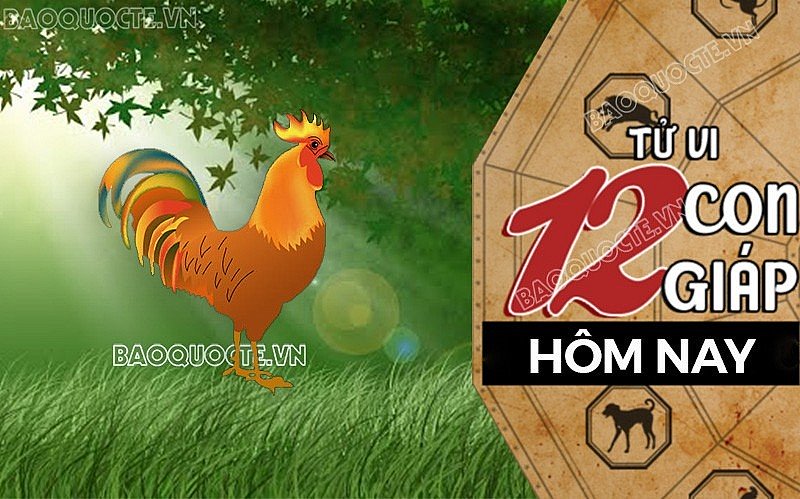 Tử vi hôm nay, xem tử vi 12 con giáp hôm nay ngày 26/8/2026: Tuổi Dậu tình cảm không thuận