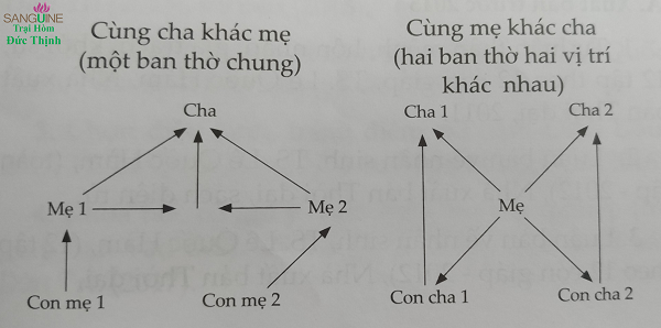 luận thờ cúng cha mẹ