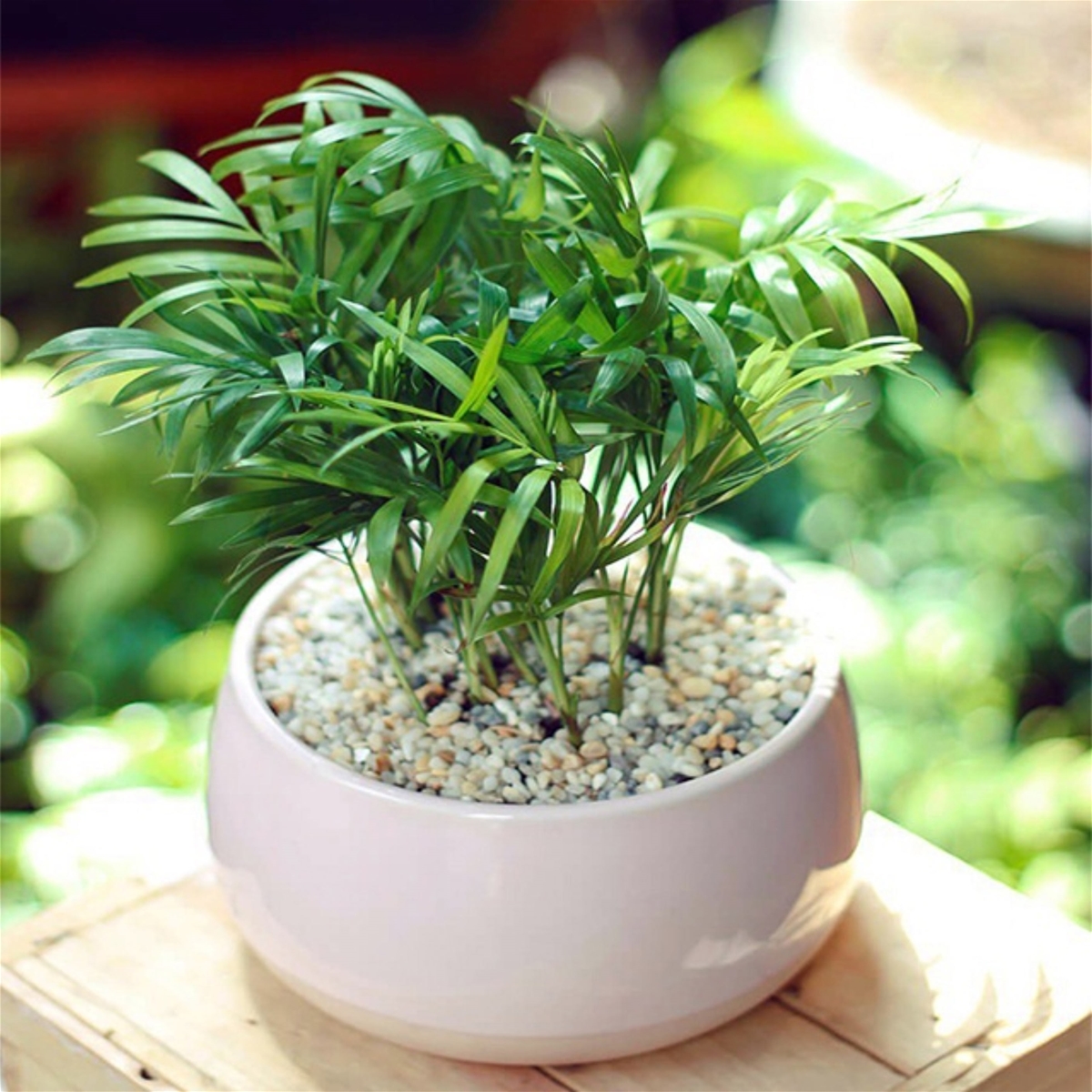 Cau tiểu trâm phong thủy nên đặt góc nhỏ trong nhà