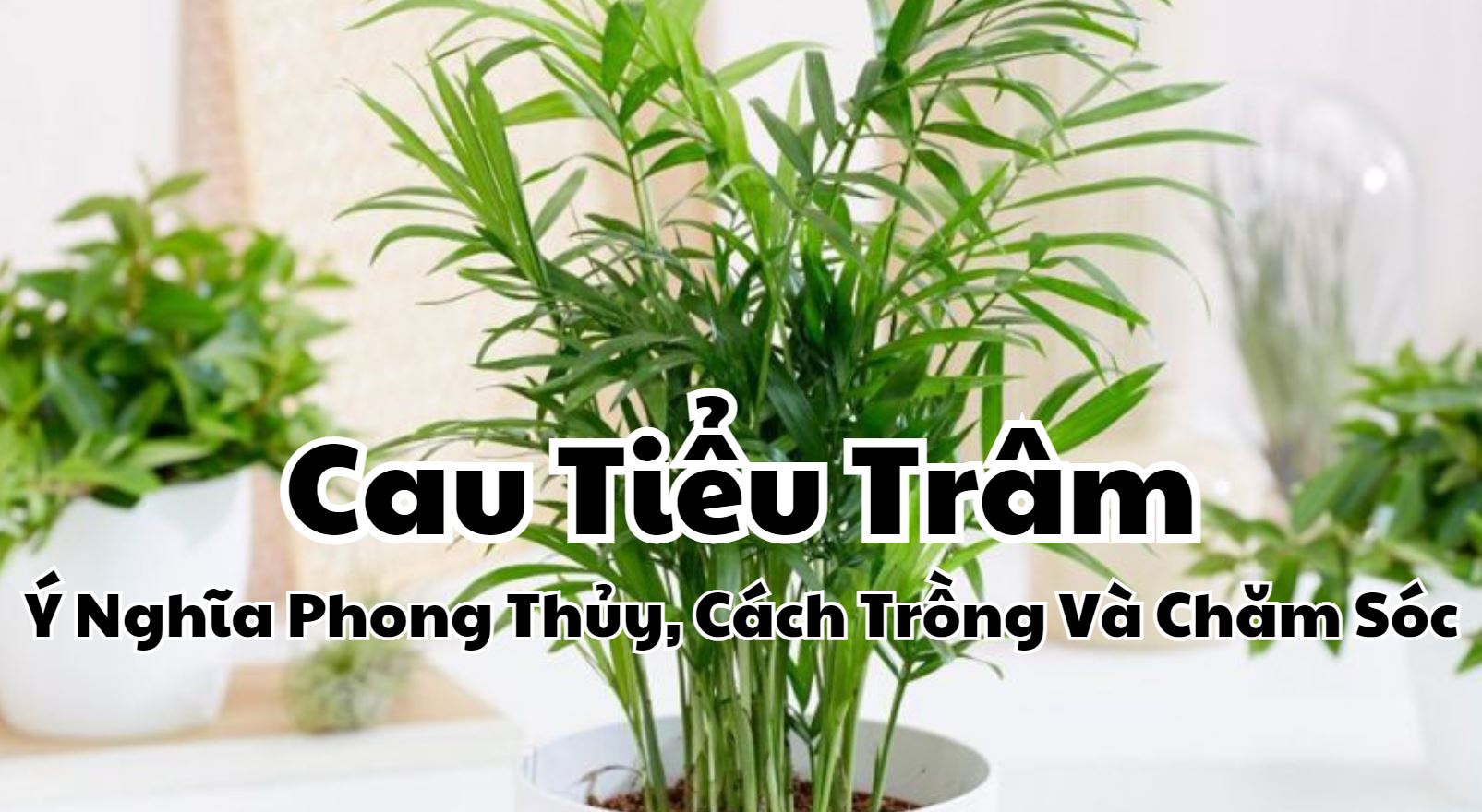 Cau tiểu trâm phong thủy có nhiều ý nghĩa