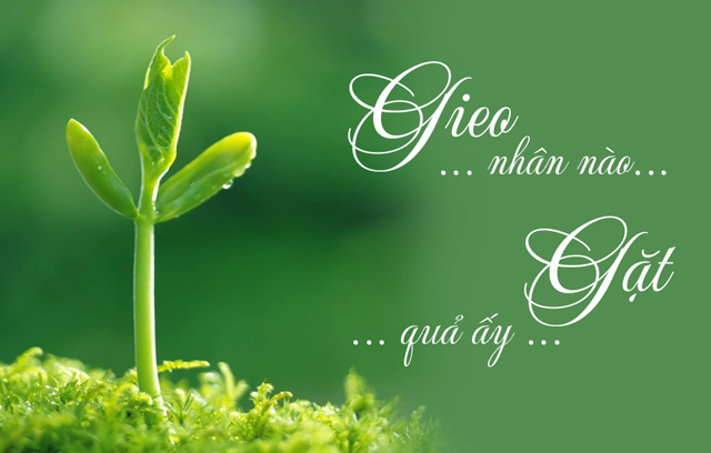 Luật nhân quả sẽ xảy ra rất nhanh