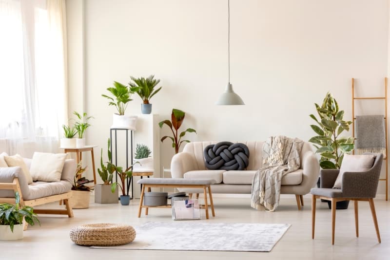 Nhà tràn đầy sức sống mang lại sự thịnh vượng, giàu có