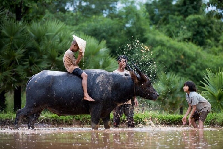 Tài lộc người tuổi Sửu tháng này khá ảm đạm, bạn nên cố gắng giữ chặt tiền trong túi