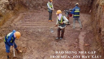 Dong-tho-dao-mong-nha-gap-troi-mua-la-diem-bao-cat-hung-gi-4973