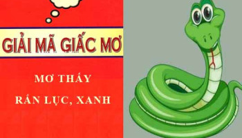 Giai-ma-Nam-mo-thay-ran-luc-xanh-lanh-hay-du-con-so-lien-quan-11202