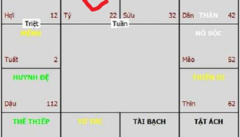 La-so-tu-vi-Nhung-thac-mac-ve-cung-Phuc-Duc-2831