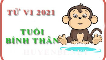 Luan-tu-vi-nam-2021-tuoi-Binh-Than-1956-nam-nu-menh-7261
