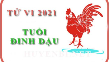 Luan-tu-vi-nam-2021-tuoi-Dinh-Dau-1957-nam-nu-menh-7251