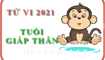 Luan-tu-vi-nam-2021-tuoi-Giap-Than-2004-nam-nu-menh-7256