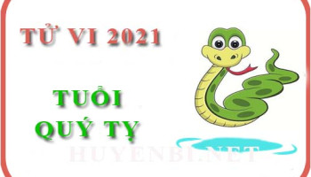 Luan-tu-vi-nam-2021-tuoi-Quy-Ty-1953-nam-nu-menh-7278
