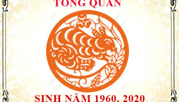 Sinh-nam-1960-menh-gi-tuoi-gi-va-hop-mau-gi-3616