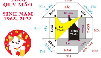 Sinh-nam-1963-Quy-Mao-hop-huong-nao-3690