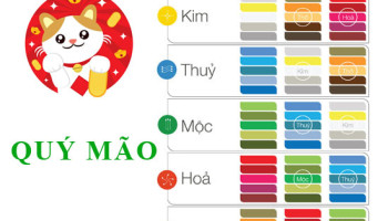 Sinh-nam-1963-Quy-Mao-hop-voi-mau-gi-mua-xe-mau-gi-3877