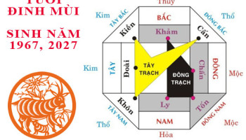 Sinh-nam-1967-Dinh-Mui-hop-huong-nao-3646