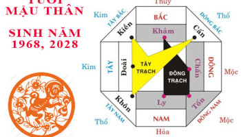 Sinh-nam-1968-Mau-Than-hop-huong-nao-3636