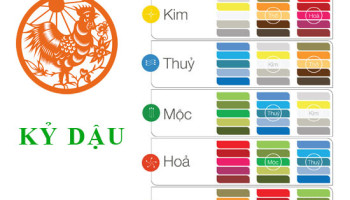 Sinh-nam-1969-Ky-Dau-hop-voi-mau-gi-mua-xe-mau-gi-3825