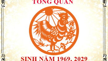 Sinh-nam-1969-menh-gi-tuoi-gi-va-hop-mau-gi-3626