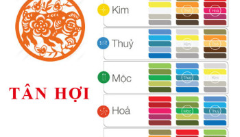 Sinh-nam-1971-Tan-Hoi-hop-voi-mau-gi-mua-xe-mau-gi-3403