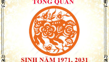 Sinh-nam-1971-menh-gi-tuoi-gi-va-hop-mau-gi-3247