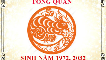 Sinh-nam-1972-menh-gi-tuoi-gi-va-hop-mau-gi-3252