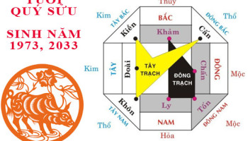 Sinh-nam-1973-Quy-Suu-hop-huong-nao-3331