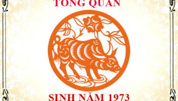 Sinh-nam-1973-menh-gi-tuoi-gi-va-hop-mau-gi-3265