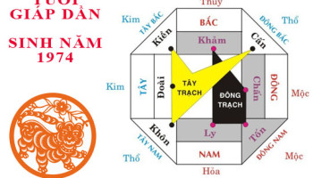 Sinh-nam-1974-Giap-Dan-hop-huong-nao-3340
