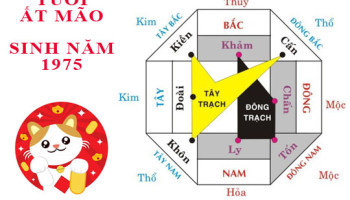 Sinh-nam-1975-At-Mao-hop-huong-nao-3352