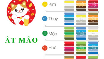 Sinh-nam-1975-At-Mao-hop-voi-mau-gi-mua-xe-mau-gi-3439