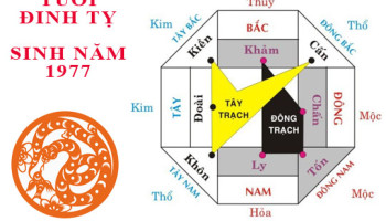 Sinh-nam-1977-Dinh-Ty-hop-huong-nao-3368