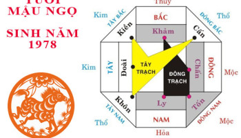 Sinh-nam-1978-Mau-Ngo-hop-huong-nao-3376