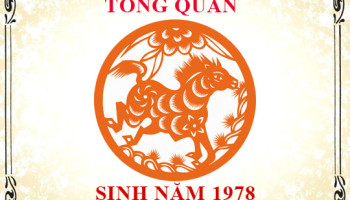 Sinh-nam-1978-menh-gi-tuoi-gi-va-hop-mau-gi-3307