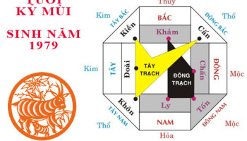 Sinh-nam-1979-Ky-Mui-hop-huong-nao-3384