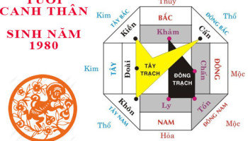Sinh-nam-1980-Canh-Than-hop-huong-nao-3392