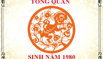 Sinh-nam-1980-menh-gi-tuoi-gi-va-hop-mau-gi-3321