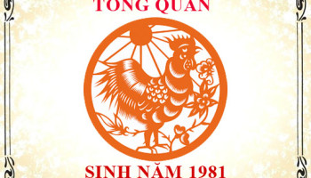 Sinh-nam-1981-menh-gi-tuoi-gi-va-hop-mau-gi-3329