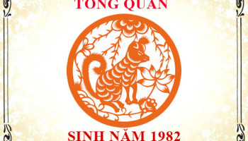 Sinh-nam-1982-menh-gi-tuoi-gi-va-hop-mau-gi-3338