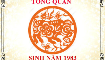Sinh-nam-1983-menh-gi-tuoi-gi-va-hop-mau-gi-3346