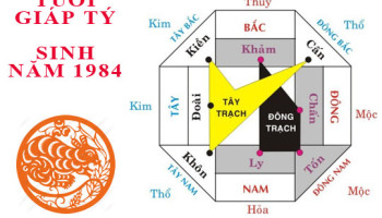 Sinh-nam-1984-Giap-Ty-hop-huong-nao-3429