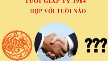 Sinh-nam-1984-Giap-Ty-hop-voi-tuoi-nao-3683