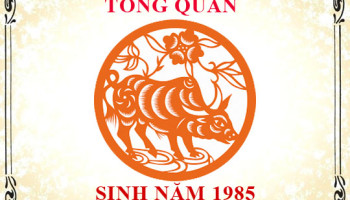 Sinh-nam-1985-menh-gi-tuoi-gi-va-hop-mau-gi-3361