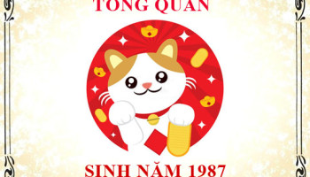 Sinh-nam-1987-menh-gi-tuoi-gi-va-hop-mau-gi-3374