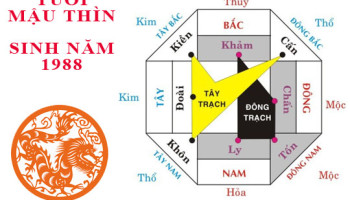 Sinh-nam-1988-Mau-Thin-hop-huong-nao-3468