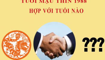Sinh-nam-1988-Mau-Thin-hop-voi-tuoi-nao-3723