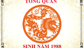 Sinh-nam-1988-menh-gi-tuoi-gi-va-hop-mau-gi-3382