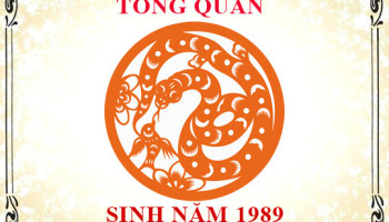 Sinh-nam-1989-menh-gi-tuoi-gi-va-hop-mau-gi-3391