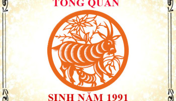 Sinh-nam-1991-menh-gi-tuoi-gi-va-hop-mau-gi-3409